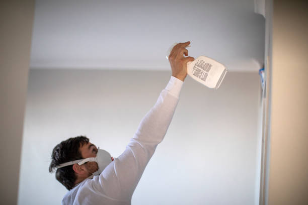 Best Commercial Mold Removal  in Yuma, AZ