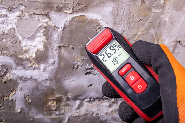 Certified Mold Removal in Yuma, AZ